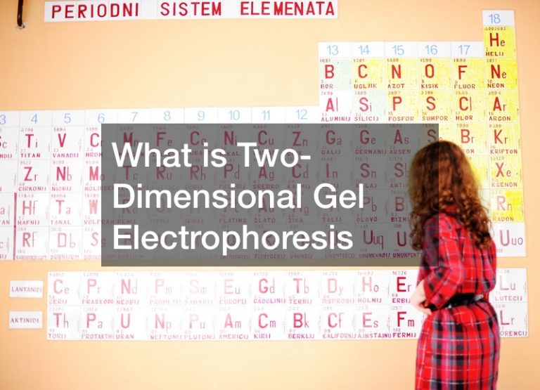 two dimensional gel electrophoresis experiment