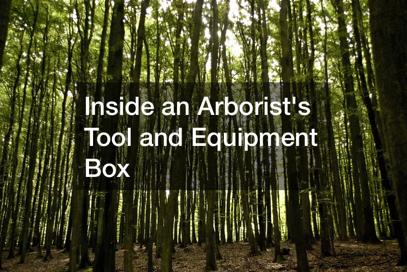 Inside an Arborists Tool and Equipment Box