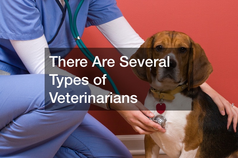 There Are Several Types of Veterinarians