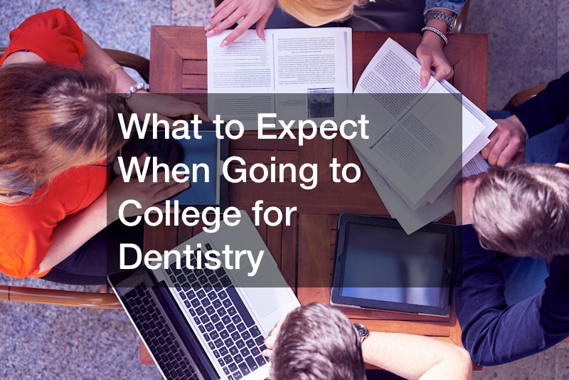 What to Expect When Going to College for Dentistry